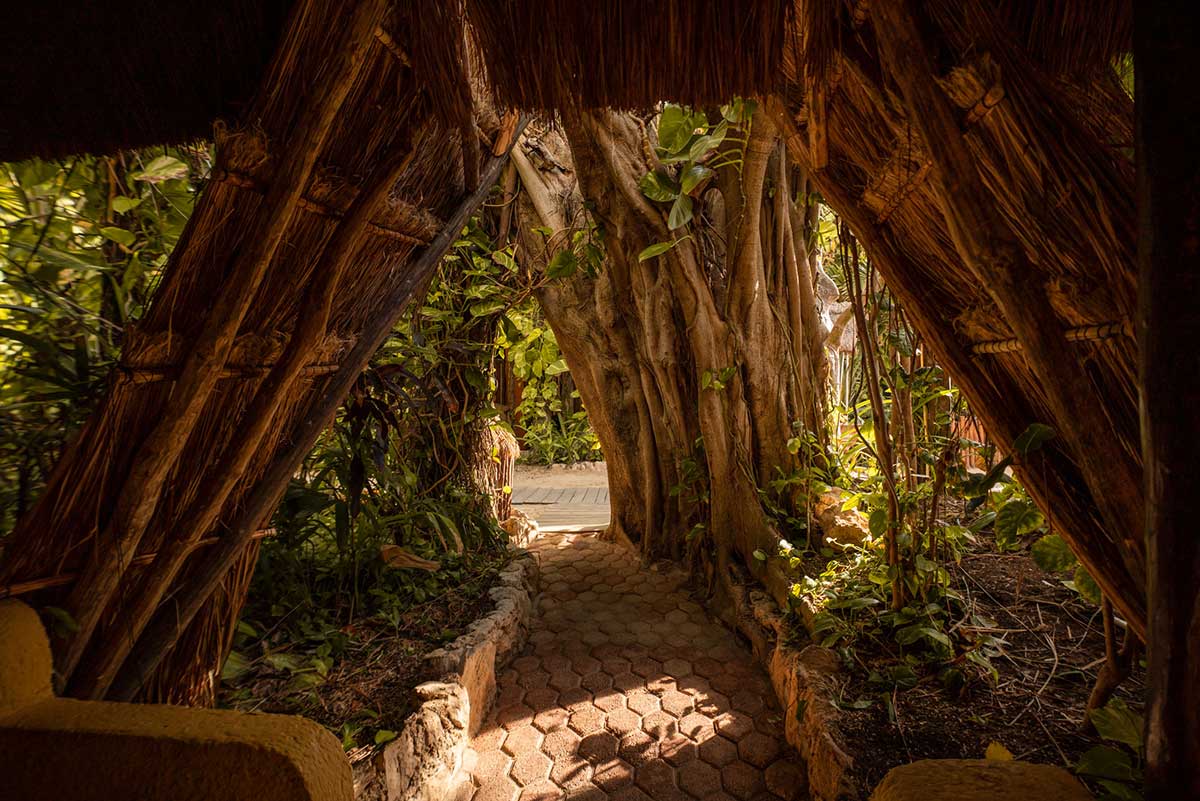 Hotel Casa Colibrí, ambiente tranquilo de habitación
