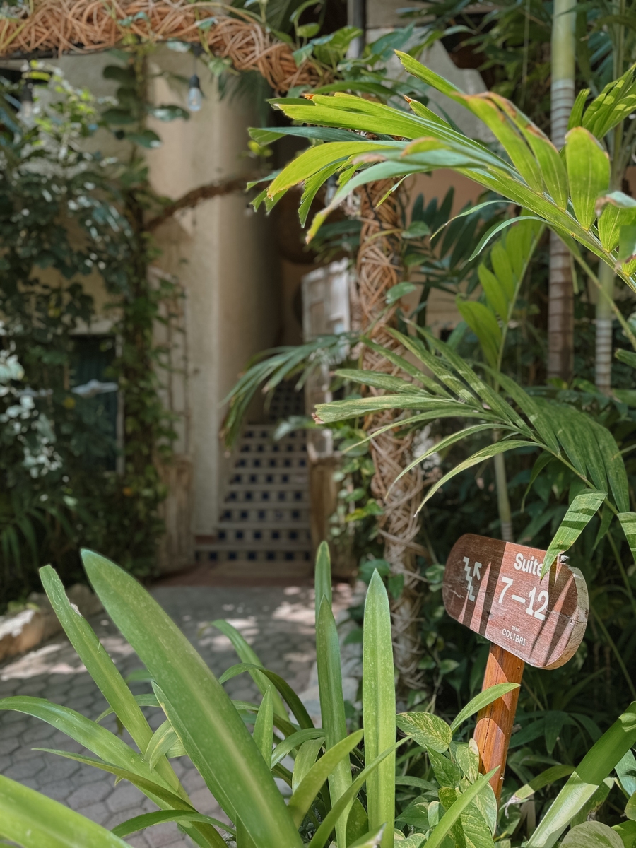 Hotel Casa Colibrí, vista de la playa del hotel